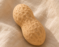 Loaf of bread on a textured beige surface