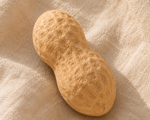 Loaf of bread on a textured beige surface